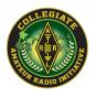 Collegiate Amateur Radio Initiative logo-1.jpg